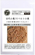有機種子 固定種 古代小麦 スペルト小麦 500g 種 こむぎ 野菜 種子 オーガニック グリーンフィールドプロ…