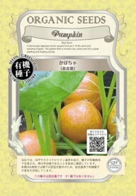有機種子 かぼちゃ 種 赤皮栗 15粒 野菜 種子 カボチャ 南瓜 オーガニック グリーンフィールドプロジェクト 追跡可能メール便選択可【2026年11月期限】