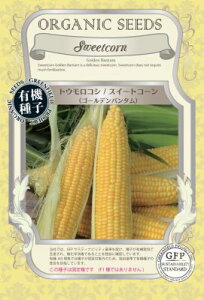 L@q Œ gERV 30  XC[gR[ S[fo^ Ƃ낱  q I[KjbN O[tB[hvWFNg ǐՉ\[֑Iy2026N5z