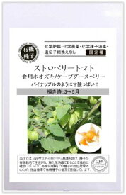 有機種子 固定種 ストロベリートマト 食用ホオズキ 10粒 種 ケープグースベリー ほおずき 野菜 種子 オーガニック グリーンフィールドプロジェクト 追跡可能メール便選択可【2024年11月期限】