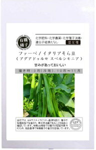 L@q Œ \} 10  t@[x C^A瓤 AOAhDZ XyVjA ܂ I[KjbN O[tB[hvWFNg ǐՉ\[֑Iy2026N5