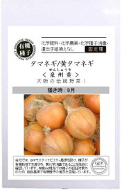 有機種子 固定種 タマネギ 黄タマネギ 泉州黄 0.6g 種 野菜 種子 オーガニック グリーンフィールドプロジェクト 追跡可能メール便選択可【2024年11月期限】