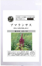 有機種子 固定種 アマランサス 100粒 野菜 種子 オーガニック グリーンフィールドプロジェクト 追跡可能メール便選択可【小袋】【2027年5月期限】