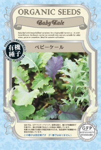 L@q Œ xr[P[ 0.6g   q I[KjbN O[tB[hvWFNg ǐՉ\[֑Iy2026N11z