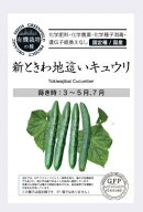 有機種子 固定種 きゅうり 新ときわ地這いキュウリ 種 25粒 キュウリ 国産 野菜 種子 オーガニック グリ…