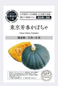 有機種子 固定種 かぼちゃ 東京芳香かぼちゃ 種 20粒 カボチャ 国産 野菜 種子 オーガニック グリーンフィールドプロジェクト 追跡可能メール便選択可【小袋】【2026年11月期限】