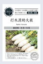 有機種子 固定種 大根 打木源助大根 種 40粒 ダイコン 国産 野菜 種子 オーガニック グリーンフィールドプロジェクト 追跡可能メール便選択可【小袋】【2026年5月期限】