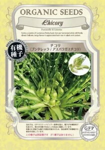 L@q Œ `R v^b AXpKX`R 80   q I[KjbN O[tB[hvWFNg ǐՉ\[֑Iy2026N5z