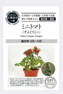 有機種子 固定種 ミニトマト ずんぐりミニ 種 20粒 トマト とまと 国産 野菜 種子 オーガニック グリーン…