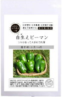 自然農法の種 有機種子 固定種 自生ピーマン 10粒 種 ピーマン 国産 自然栽培 野菜 種子 オーガニック グ…