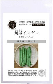 楽天市場 野菜の種子 種類 植物 インゲンマメ 人気ランキング1位 売れ筋商品
