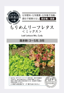 R_@̎ L@q Œ [t^X ߂񃊁[t^X~bNX 40  Y R͔|  q I[KjbN O[tB[hvWFNg ǐՉ\[֑Iy2026N