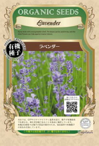 L@q Œ x_[ 0.6g  n[u q I[KjbN O[tB[hvWFNg ǐՉ\[֑Iy2026N5z