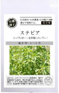 �L�@��q �Œ�� �X�e�r�A �� 6�� �n�[�u ��q �I�[�K�j�b�N �O���[���t�B�[���h�v���W�F�N�g �ǐՉ\���[���֑I���y2026�N11�������z