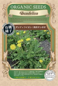 L@q Œ _fBCI m^|| 0.3g  GfBut[ Hp n[u q I[KjbN O[tB[hvWFNg ǐՉ\[֑Iy2026N5z