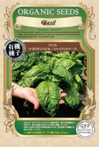 L@q Œ oW i|^oW WCAg[t 150  n[u q I[KjbN O[tB[hvWFNg ǐՉ\[֑Iy܁zy2026N5z