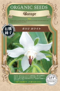 L@q Œ {W {WzCg 15  GfBut[ Hp n[u q I[KjbN O[tB[hvWFNg ǐՉ\[֑Iy2026N5z