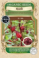 有機種子 固定種 ローゼル 10粒 種 ハーブ 種子 オーガニック グリーンフィールドプロジェクト 追跡可能…