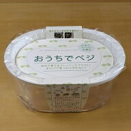 スプラウト栽培専用容器 おうちでベジ ホワイト スプラウト容器 白 スプラウト栽培容器 おうち時間 免疫…