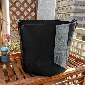 sDzv^[ a50cm ^tK[fobO n t sDz|bg ی^ ӂ傭 GRv^[ GR|bg GRf  ʎ ϗtA ƒ؉ v^[ | ۂ