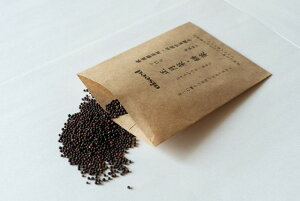 `؎q ؁Eݍ Œ 5ml  n ݗ   ǐՉ\[֑Iy܁zy2026N6z