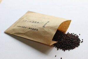 `؎q ֔Ӑ Œ 5ml  s]ː ݗ ܂  ǐՉ\[֑Iy܁zy2026N3z