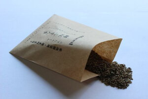 伝統野菜種子 鮮紅三寸人参 固定種 4ml 種 在来種 三寸人参 ニンジン にんじん 野菜 追跡可能メール便選択可【小袋】【2026年6月期限】