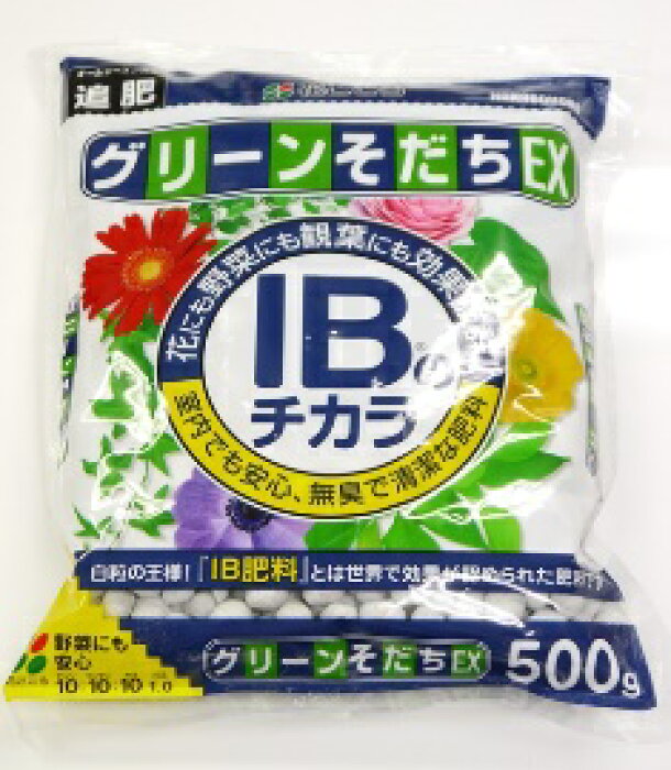 Img64423664