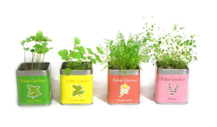 96円 プレゼントを選ぼう! 栽培キット パームガーデン 室内 ミニ 野菜 果物 palm garden 子供向け 大人向け おしゃれプレゼント 知育 ホワイトデー 96円 プレゼントを選ぼう! 栽培キット パームガーデン 室内 ミニ 野菜 果物 palm garden 子供向け 大人向け おしゃれプレゼント 知育 ホワイトデー