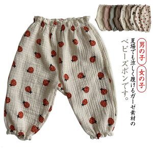 K[[pc Opc {gX j̎q   ǂ c ̎q xr[ 73 _uK[[ LbY [EFA pW} Y{ xr[pc EGXgS 悯 hh~ 
