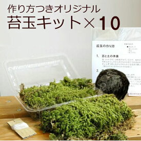 苔玉キット 10セット つくり方説明書付 ハイゴケ 手作り 初心者 こけだまの材料 かんたん作成キット 苔・苔玉用に配合した土・糸 イベント 法人向け 大量注文 こけだま 苔 こけ コケ コケダマ こけ玉 観葉植物