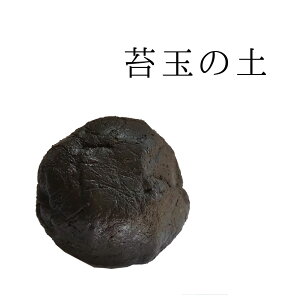 ۂ̕ɂ͂I ۋʂ̓y ̂t    RP RP_}  ۋʎ ۋʃLbg Pgy