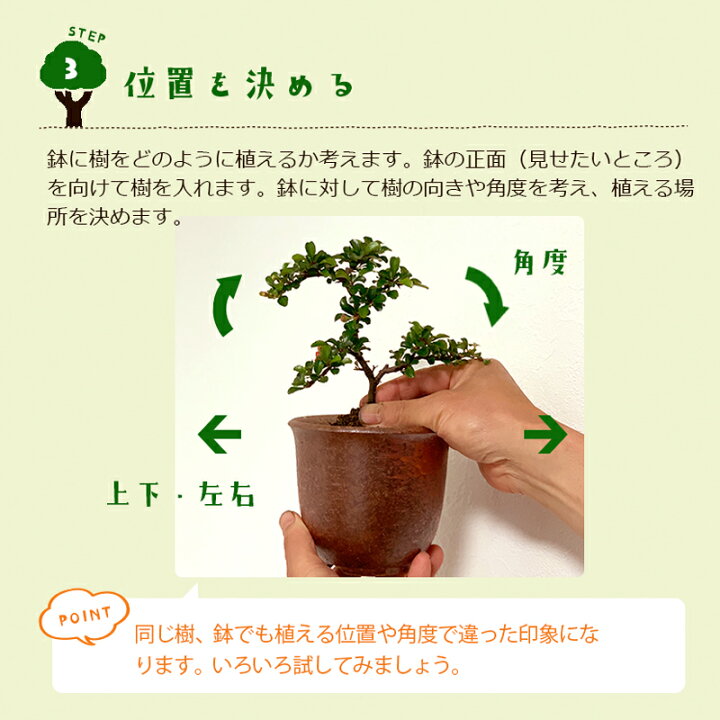 楽天市場 盆栽キット 植え替え用材料 盆栽キット 自然 くらま岩鉢 盆栽の作り方つき 盆栽の育て方つき お手入れ相談 電話 メールサポート 硬質赤玉土 桐生砂 盆栽の土 ヤマゴケ おうち時間 巣ごもり みどり屋 和草 楽天市場店