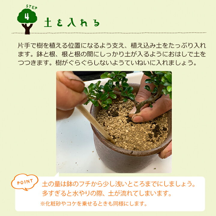 楽天市場 盆栽キット 植え替え用材料 盆栽キット 自然 くらま岩鉢 盆栽の作り方つき 盆栽の育て方つき お手入れ相談 電話 メールサポート 硬質赤玉土 桐生砂 盆栽の土 ヤマゴケ おうち時間 巣ごもり みどり屋 和草 楽天市場店
