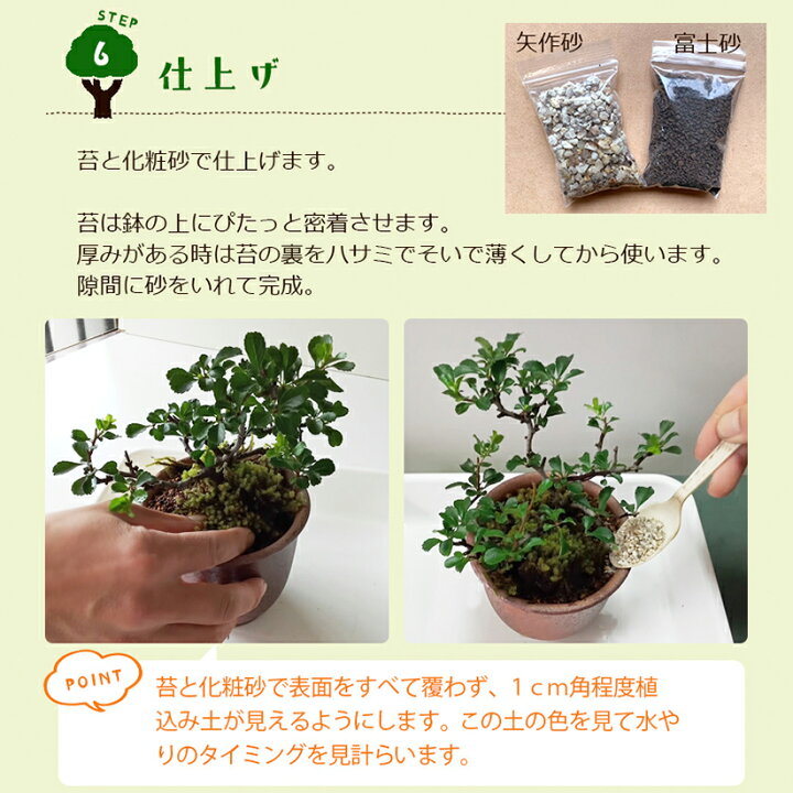 楽天市場 盆栽キット 植え替え用材料 盆栽キット 自然 くらま岩鉢 盆栽の作り方つき 盆栽の育て方つき お手入れ相談 電話 メールサポート 硬質赤玉土 桐生砂 盆栽の土 ヤマゴケ おうち時間 巣ごもり みどり屋 和草 楽天市場店