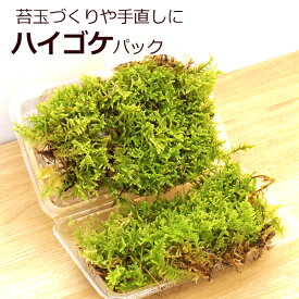 父の日 苔玉作りや張り替えに ハイゴケパック