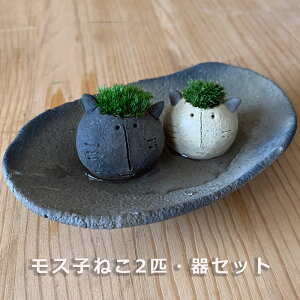  RP ^R̃XX ߃lR XqlRE󂯎MZbg mosmoss@yqlR2C{󂯎MZbgz vq | ϗtA RPeE CeA RP͔| Mtga l