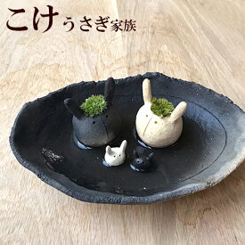 楽天市場 うさぎ 苔の通販