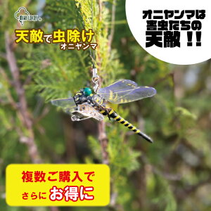 yVGŒzIׂ1~12Zbg Ij}  14cm ɂ tBMA St A g{ 悯 ΍ Sst ނ Ro Lbv O 悯͌^  XY