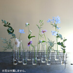 EFXgBbW@BIRD'S NEST(L) @t[x[X ֑} Mtg v[g j 킢 j Vzj 蕨  zj av[g LO CeA 