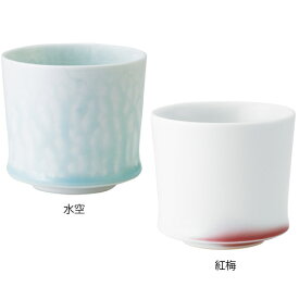 波佐見焼 西海陶器 agasuke ロックカップ 酒器 タンブラー カップ コップ 磁器 国産 日本製 食器 瀬戸物 陶器 焼き物 おしゃれ ギフト プレゼント お祝い 陶磁器 波佐見焼き 波佐見 ぐいのみ ぐい呑み ぐい飲み ぐい呑 和食器 誕生日プレゼント 湯呑み 敬老の日