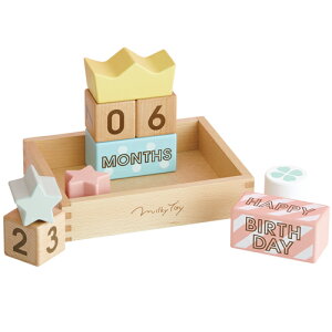 GhEC^[@Memory Biscuits@ςݖ ubN a av[g ؂̂ 1 2 3 ؐ q j̎q j ̎q  Ԃ xr[ oYj ݂ Mtg ϖ LbY m