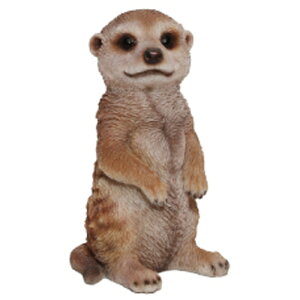 }Olbg@X^vP[X ~[ALbg@nR P[X q  P[X ꕨ NX}Xv[g