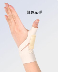 pT|[^[  ew  ^ T|[^[ ŒpXvg ewNyT|[^[ X|[cΉ