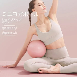 25CM ���K �{�[�� �o�����X�{�[�� ���K�p25cm�s���e�B�X�{�[�� �G�N�T�T�C�Y�{�[�� �g���[�j���O�{�[�� �~�j �X�g���b�`�{�[�� ��C����t�� �A���`�o�[�X�g �ω׏d100kg �t�B�b�g�l�X�{�[�� 