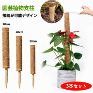 3本セット ココスティック モンステラ 支柱 おしゃれ 植物 支柱 ポトス 支柱 高さ調整可能 頑丈 耐久 コ…