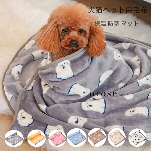 y zLybgp ѕz ۉ h }bg NbV A卪AFA ybgp ѕz uPbg Lp }bg q qL ybg g ӂӂ h zc ѕz g