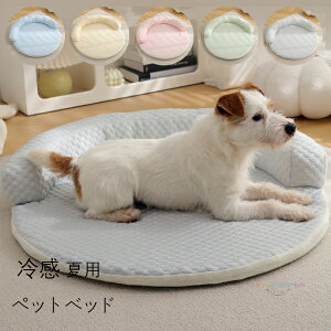 y z⊴ ybgxbh ėp Ђ ^ ~` NbV}bg ʋCD Lp \t@ ӂӂ ybgxbh p Lp  􂦂 }JF ~ ybg}bg Ђ