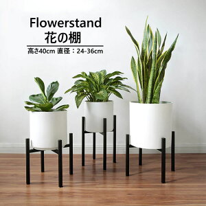 |bg X^h t[X^h 40cm u S  ϗtA a24-36cm܂őΉ  Lk pr ACA Aؔ K[fjO bN  O ԑ v^[X^h g