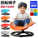 【時間限定！15%OFFクーポン】感覚統合 感覚統合訓練 感覚統合トレーニング バランス 回転椅子 バランス椅子 家庭用 …